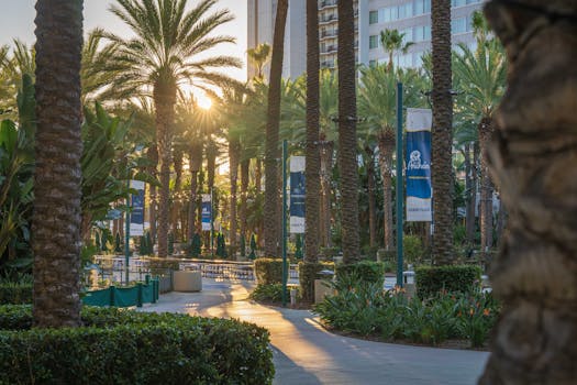 Anaheim, CA services