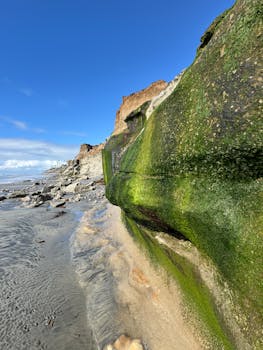 Carlsbad, CA team