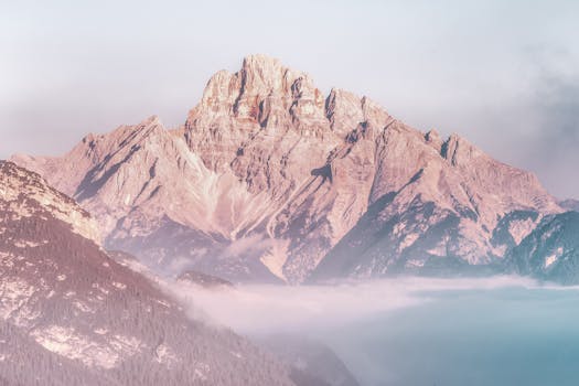 Mountain View, CA services