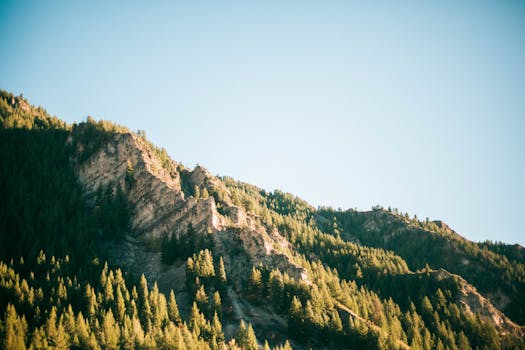 Provo, UT services