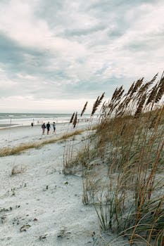 Jacksonville, FL services