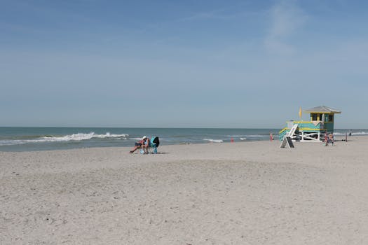 Sarasota, FL services