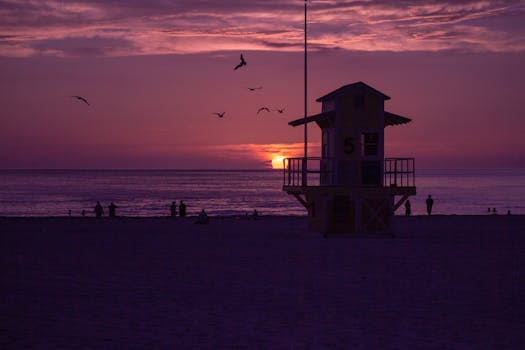 Clearwater, FL team
