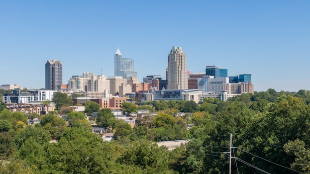 Raleigh, NC services