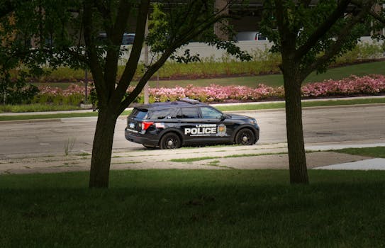 Lansing, MI hero